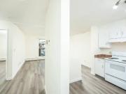 Apartment 1 Bedroom For Rent Edmonton AB 1225 ES96714731
