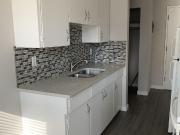 Apartment 1 Bedroom For Rent Edmonton AB 1225 ES97064439