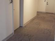 Apartment 1 Bedroom For Rent Edmonton AB 1250 ES96288768