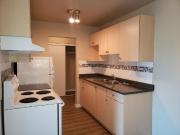 Apartment 1 Bedroom For Rent Edmonton AB 1250 ES96299366