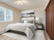 Apartment 1 Bedroom For Rent Edmonton AB 1258 ES96275443