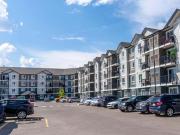 Apartment 1 Bedroom For Rent Edmonton AB 1508 ES91482020