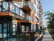 Apartment 1 Bedroom For Rent Edmonton AB 1550 ES82173049