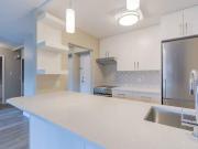 Apartment 1 Bedroom For Rent Edmonton AB 1555 ELS90116004