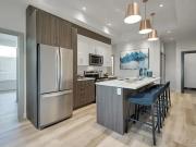 Apartment 1 Bedroom For Rent Edmonton AB 1590 ES92898219