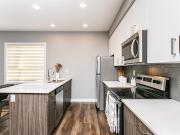 Apartment 1 Bedroom For Rent Edmonton AB 1649 ES96296732