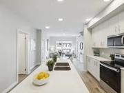 Apartment 1 Bedroom For Rent Kitchener ON 2174 ES98140010