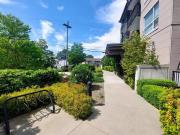 Apartment 1 Bedroom For Rent Langford BC 1805 ES93045372