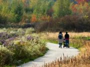 Apartment 1 Bedroom For Rent Ottawa ON 2415 ES98533597