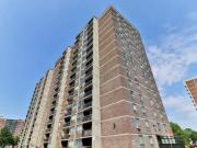 Apartment 1 Bedroom For Rent Scarborough ON 2145 ES98363340