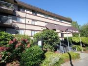 Apartment 1 Bedroom For Rent Surrey BC 1625 ES93690732 Apartment 1 Bedroom For Rent Surrey BC 1625 ES93690732