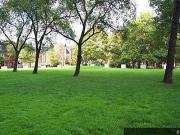 Apartment 1 Bedroom For Rent Toronto ON 1895 ES96340264