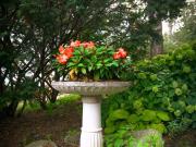 Apartment 1 Bedroom For Rent Toronto ON 1995 ES96338017