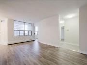 Apartment 1 Bedroom For Rent Toronto ON 2076 ES92772506