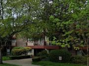 Apartment 1 Bedroom For Rent Vancouver BC 2075 ES96337791