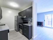 Apartment 1 Bedroom For Rent Winnipeg MB 1200 ES47366484
