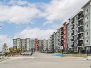 Apartment 1 Bedroom For Rent Winnipeg MB 1498 ES96586066