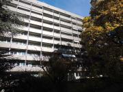 Apartment 1 room | Florissant Champel