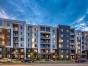 Apartment 2 Bedroom For Rent Calgary AB 1695 ES96296241