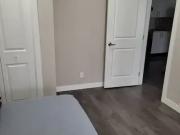 Apartment 2 Bedroom For Rent Calgary AB 750 ES98421461