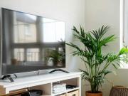 Apartment 2 Bedroom For Rent Edinburgh Edinburgh 6800...