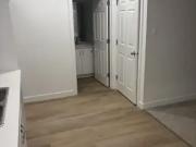 Apartment 2 Bedroom For Rent Edmonton AB 1150 ES96613439