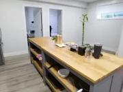 Apartment 2 Bedroom For Rent Edmonton AB 1200 ES93692163