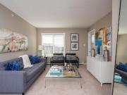 Apartment 2 Bedroom For Rent Edmonton AB 1664 ES93199513 Apartment 2 Bedroom For Rent Edmonton AB 1664 ES93199513