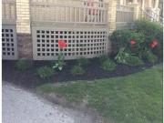 Apartment 2 Bedroom For Rent Kitchener ON 2075 ES98489408