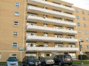 Apartment 2 Bedroom For Rent Toronto ON 2500 ES80689851
