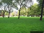 Apartment 2 Bedroom For Rent Toronto ON 2695 ES89119466