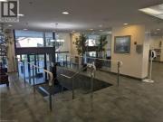 Apartment 3 Bedroom For Rent Kitchener ON 2449 ES93721699