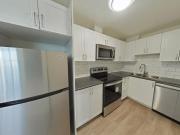 Apartment 3 Bedroom For Rent Scarborough ON 3123 ES91438237
