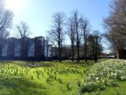 Apartment 423, Parkview Court, City Centre Limerick,...