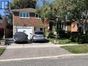 apartment at 23 MUNFORD CRESCENT, Toronto, Ontario, M4B1B9