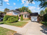 apartment at 46 ATHOL AVENUE, Toronto, Ontario, M8Z2A4