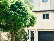 apartment at 47 SNAPDRAGON DRIVE, Toronto, Ontario, M2J4X5