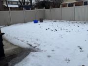 apartment at 73 MALLARD CRESCENT, Brampton, Ontario, L6S2T7