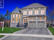 apartment at BASEMENT 12 CANIS STREET, Brampton,...