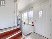 apartment at BASEMENT 17 DOBBIN ROAD, Toronto, Ontario,... apartment at BASEMENT 17 DOBBIN ROAD, Toronto, Ontario,...