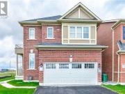 apartment at BASEMENT 46 RINGWAY ROAD, Brampton,... apartment at BASEMENT 46 RINGWAY ROAD, Brampton,...