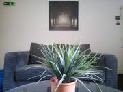 Apartment at Bracebridge Street, Nuneaton and Bedworth