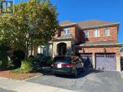 apartment at BSMT 30 RICHGROVE DRIVE, Brampton, Ontario,...
