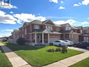 apartment at BSMT 36 SPICEBUSH TERRACE, Brampton,...