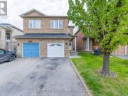 apartment at BSMT 5657 RALEIGH STREET, Mississauga,...