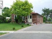 apartment at BSMT 62 ALICEWOOD COURT, Toronto, Ontario,...