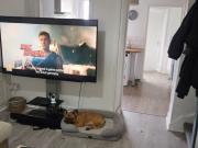 Apartment at Devon Street, Cardiff Apartment at Devon Street, Cardiff