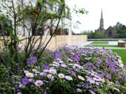 Apartment at Falkers Court, Waverley