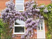 Apartment at Heydon Road, North Norfolk