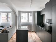 Apartment at Josefstadt, elevator, fully furnished,...